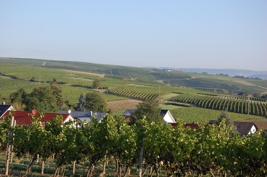 Heinrichs Winery Bed & Breakfast Langenlonsheim Buitenkant foto